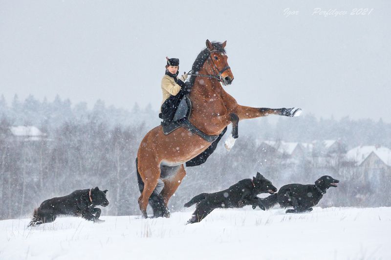 про  февральphoto preview