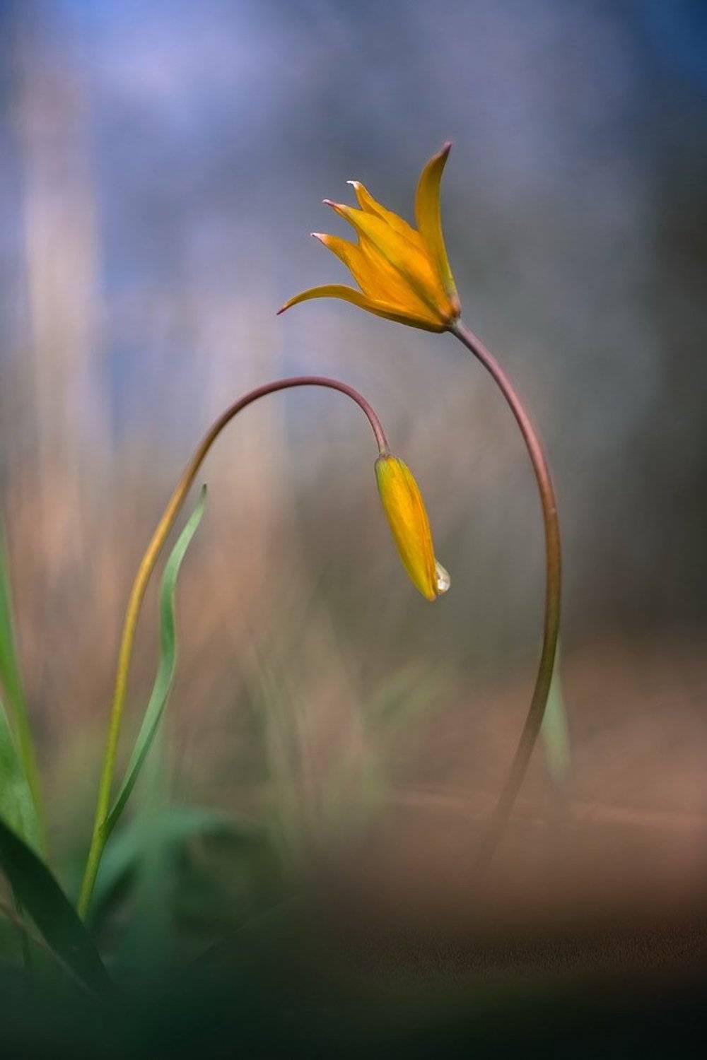 , Вячеслав Мищенко