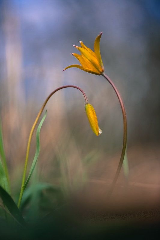 Когда я закрываю глаза...photo preview