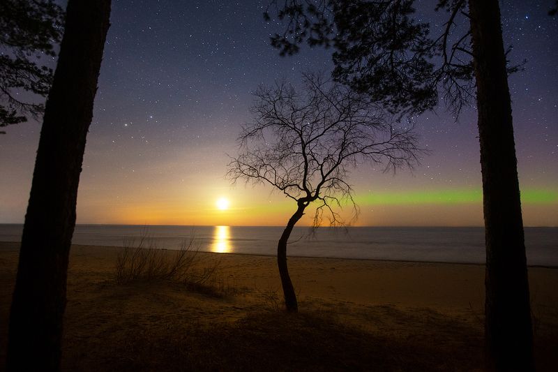 Апрельphoto preview