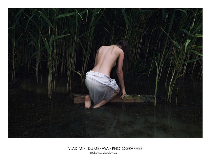 Portfoliophoto preview