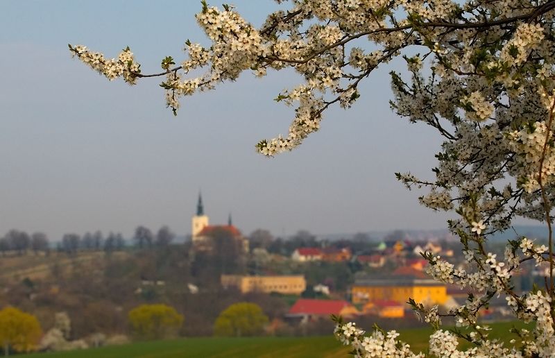 south moravia Kostelec u Kyjovaphoto preview