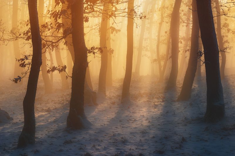 Winter Shirephoto preview