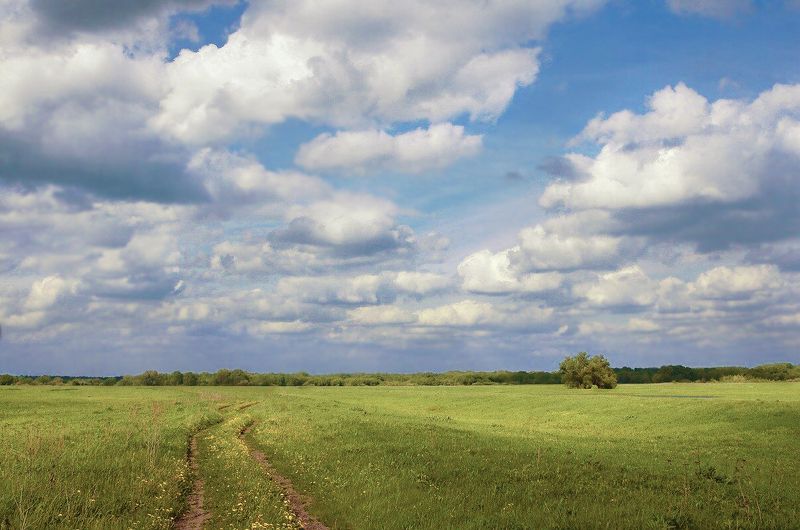 Русское полеphoto preview