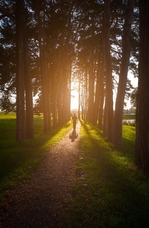 книга владыка моря, беларусь, белоруссия, замок, мир, мирский, отражение, артем мирный, арт, belarus, artyom mirniy, mir, castle, cityscape, sunset В потоке света - Путь к Светуphoto preview