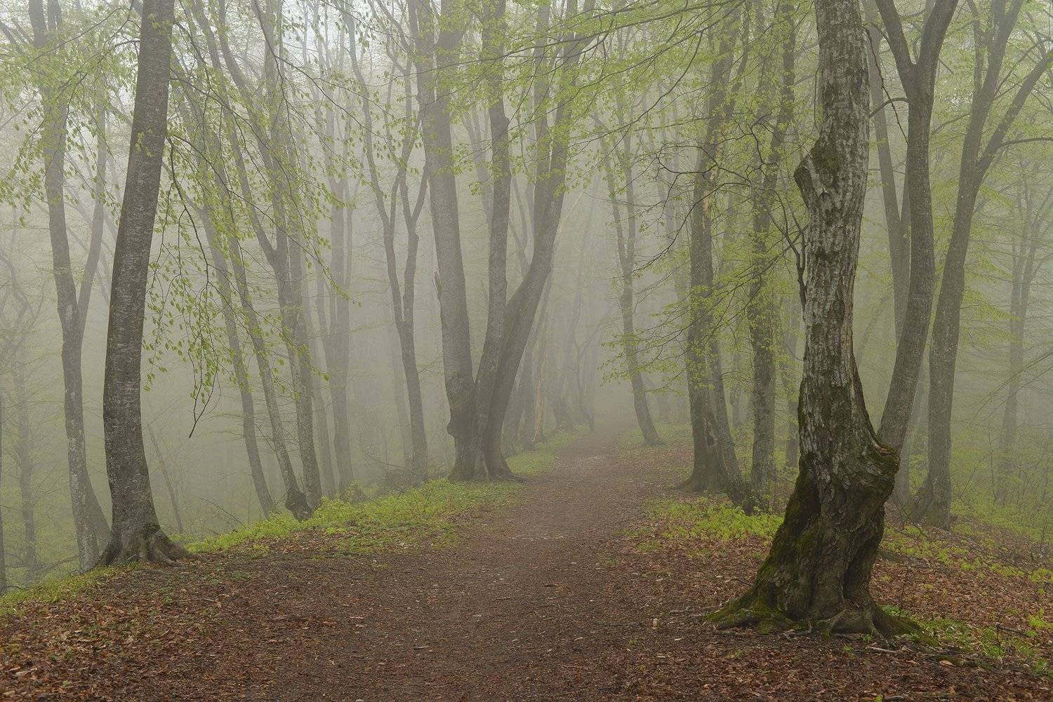 кизиловка, нальчик, кабардино-балкария, Хасан Журтов