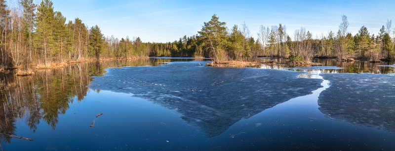 весна, болото, ленобласть, заповедник, красиво, апрель, озеро, экотропа photo preview