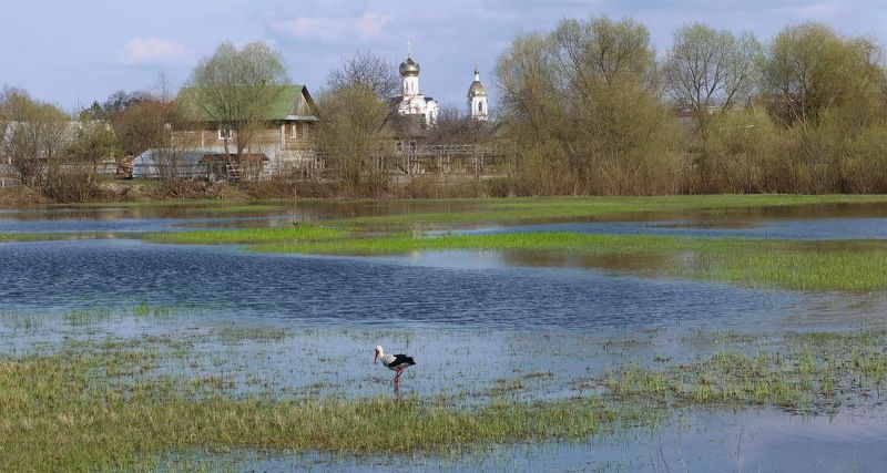 Г. Туров.  Туровский луг, который к лету пересыхаетphoto preview