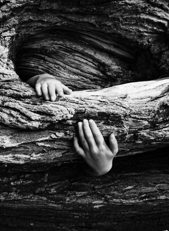 Внутриphoto preview