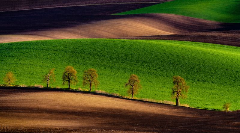 moravie tuscony, landscape, nikon, spring, sunshine, sun Southern Moravia фото превью
