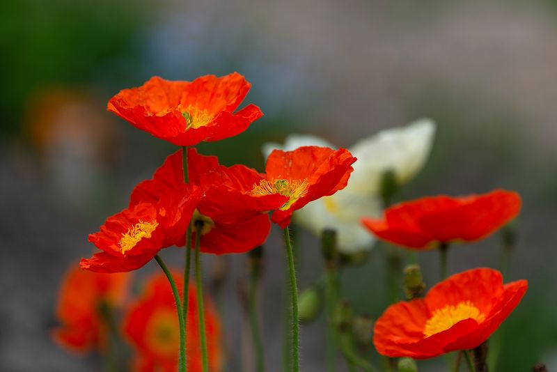 Макиphoto preview