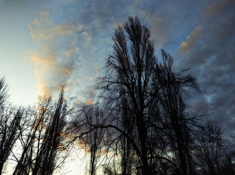 Утроphoto preview