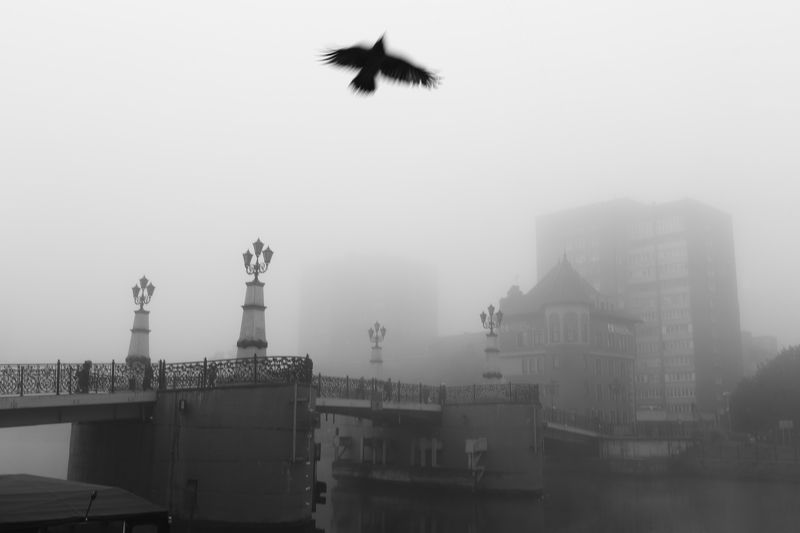 Одним туманным утромphoto preview