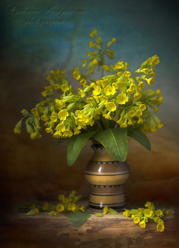 художественное фото,натюрморт,букет с цветами,жёлтые примулы.. Букетик лесных примул.photo preview
