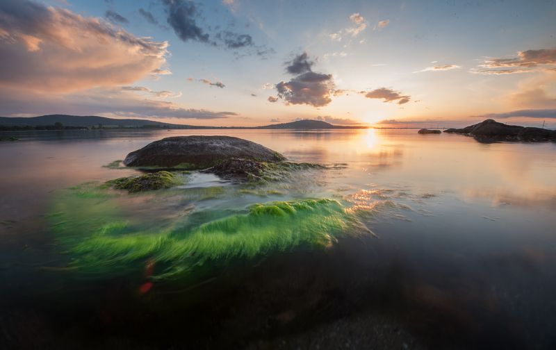 The Green Agavephoto preview