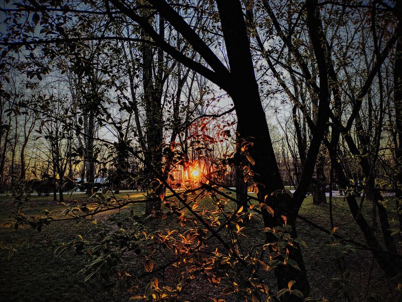 Утро 2photo preview