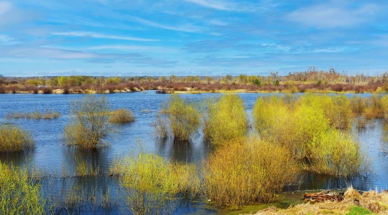 Г. Туров.  Туровский луг, который к лету пересыхаетphoto preview