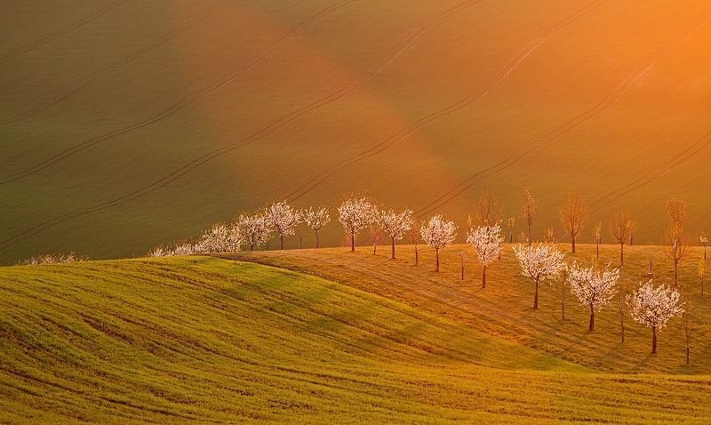 south moravia Heavenly light in a setphoto preview