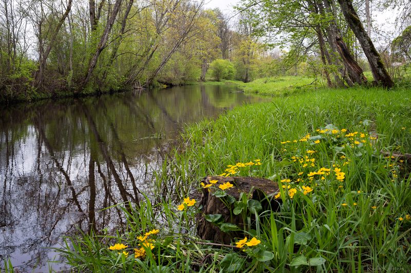 *** фото превью