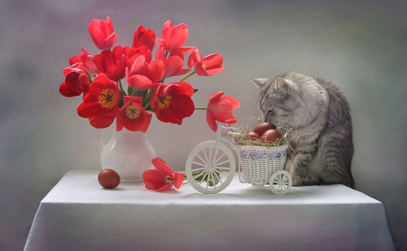 композиция, животные, кошки, кот, цветы, тюльпаны, весна, пасха, яйца Как Феня Пасху ждалphoto preview