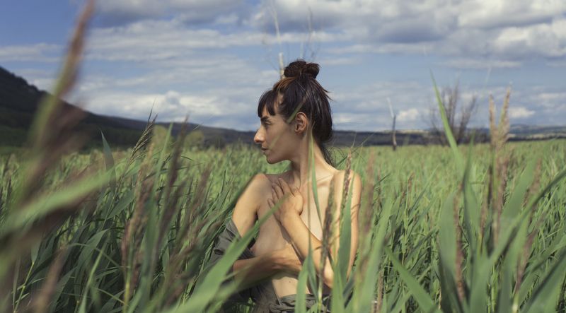 As I dream you herephoto preview