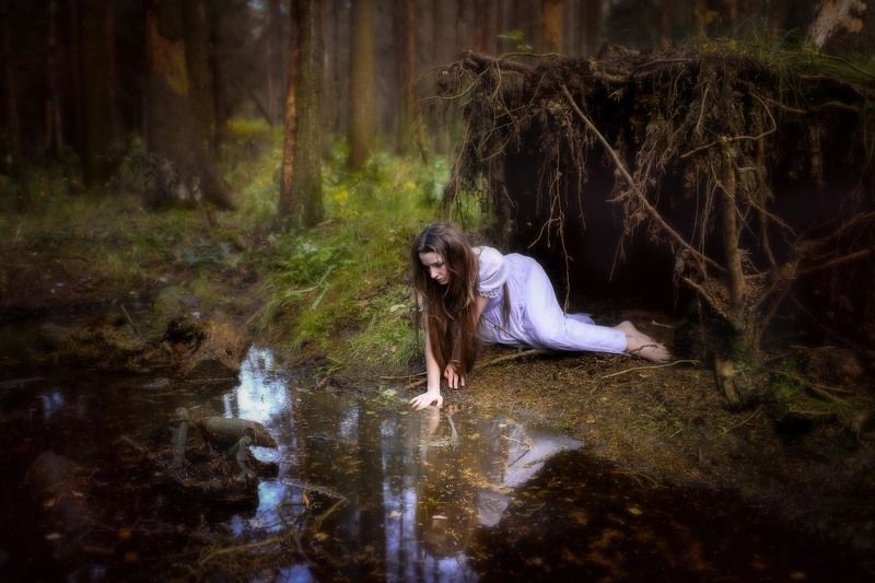 Сказкиphoto preview