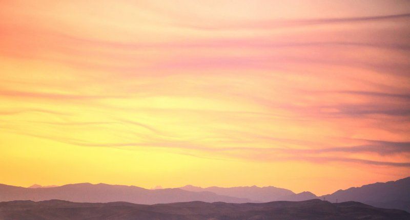 Пыльная буряphoto preview