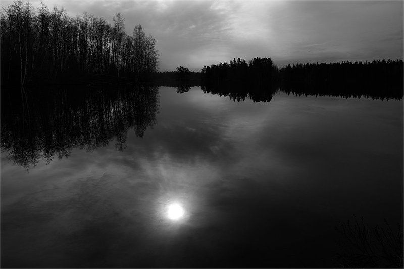 По пути в Брусничноеphoto preview