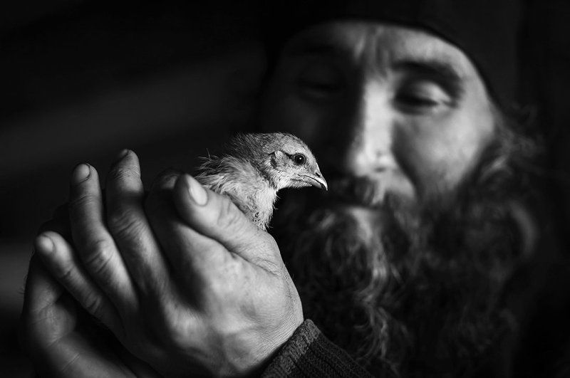 Отец Авдийphoto preview