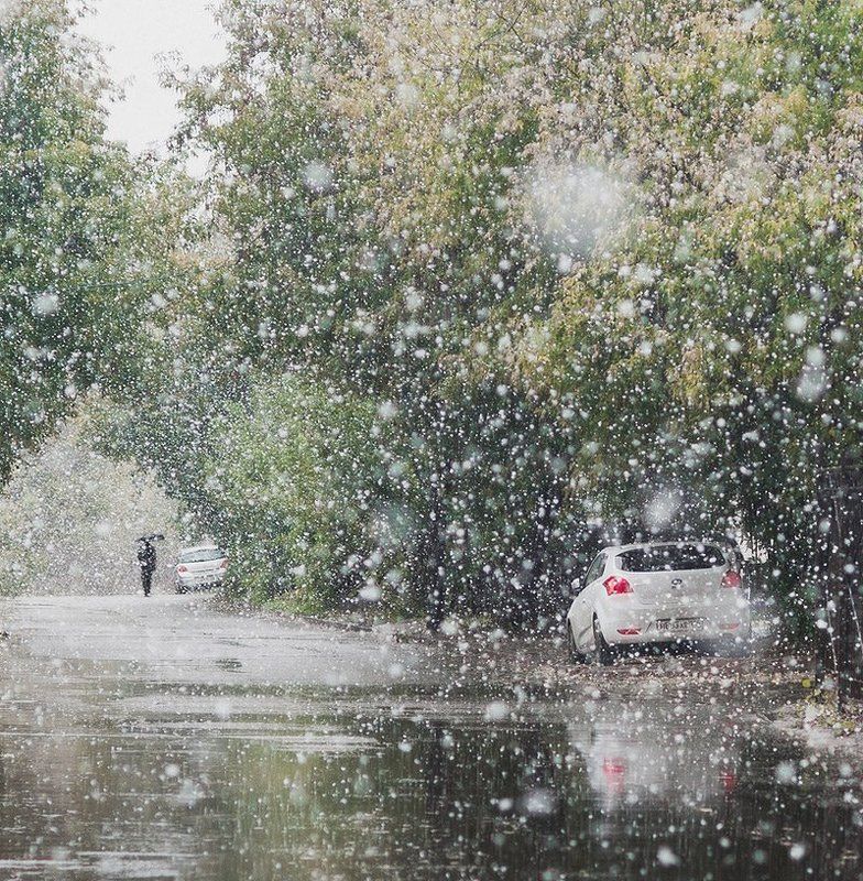 Первый снегphoto preview