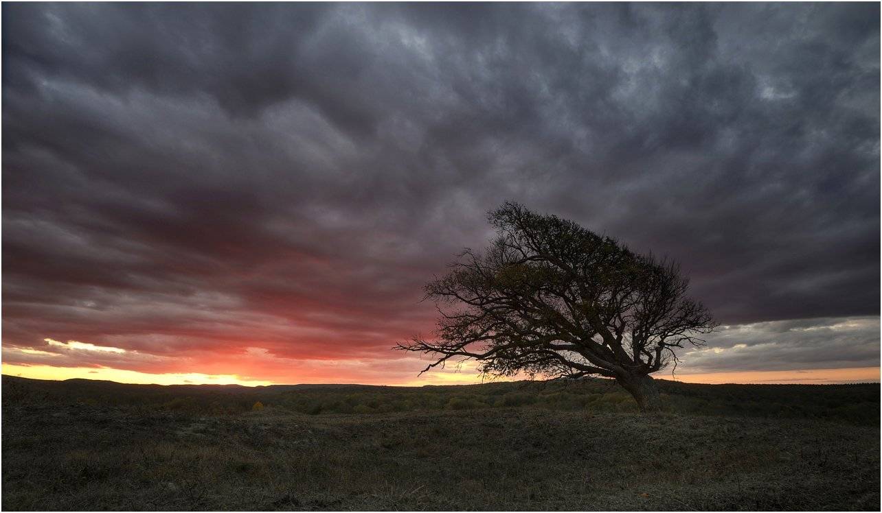 Автор: Румен Паисиев , Румен Паисиев