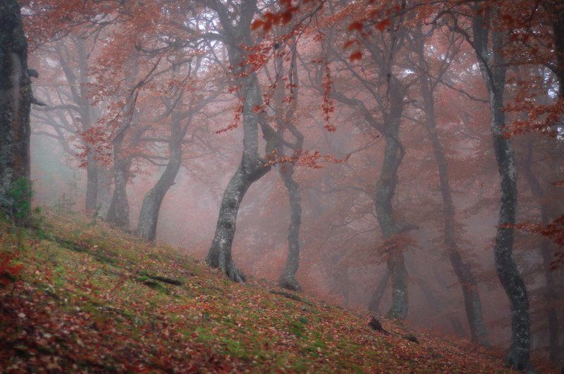 Туманность Демерджи.photo preview