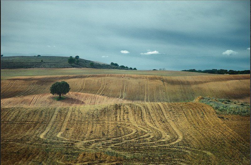 Испания осень Испания. Осень в поляхphoto preview