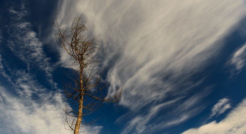 Skyscraperphoto preview