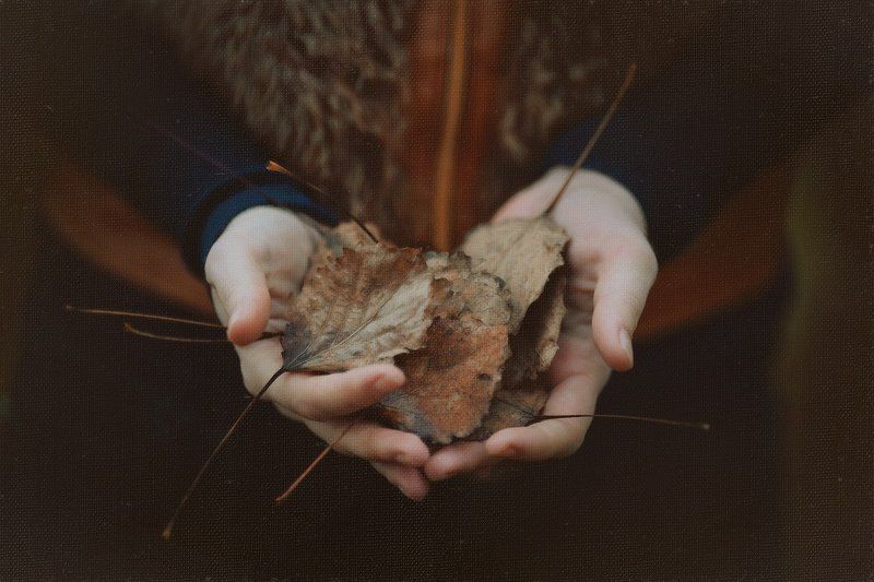 Время разбрасывать и время собирать листьяphoto preview