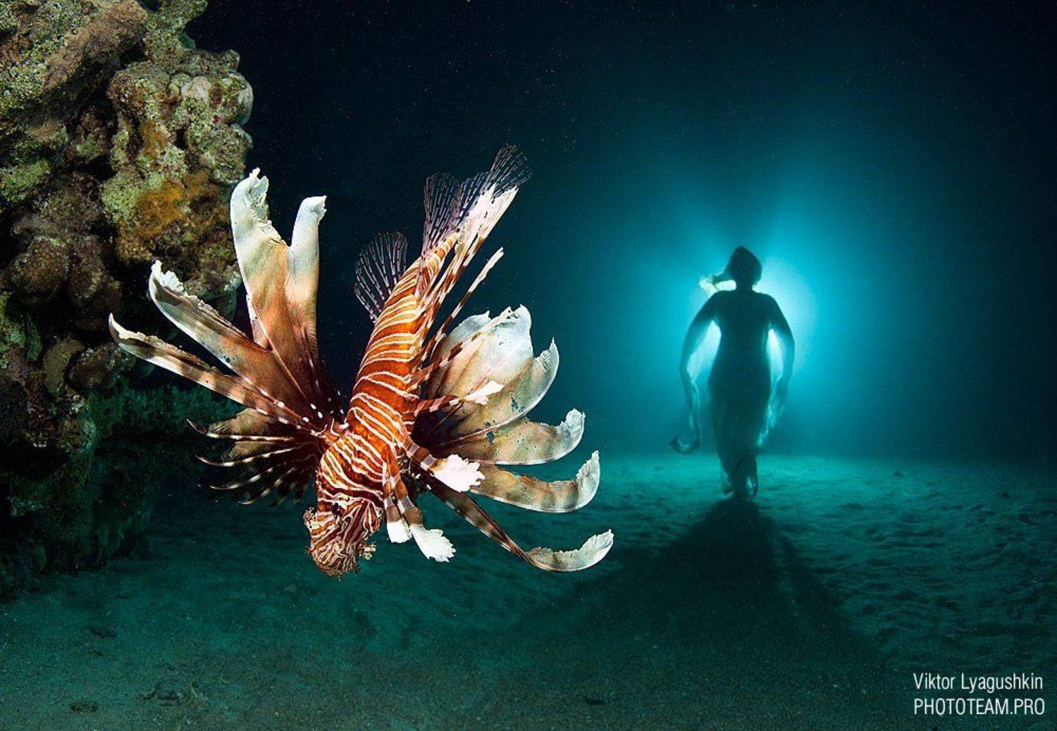 , Витя Лягушкин