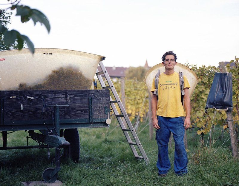 Осенняя страда в небольшой Швейцарииphoto preview