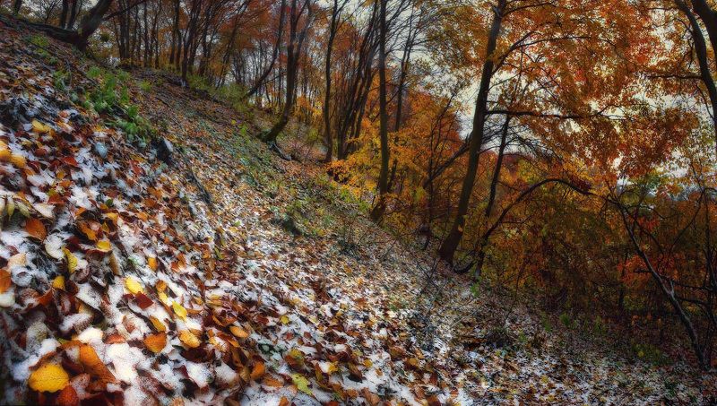 Осень vs Зимаphoto preview