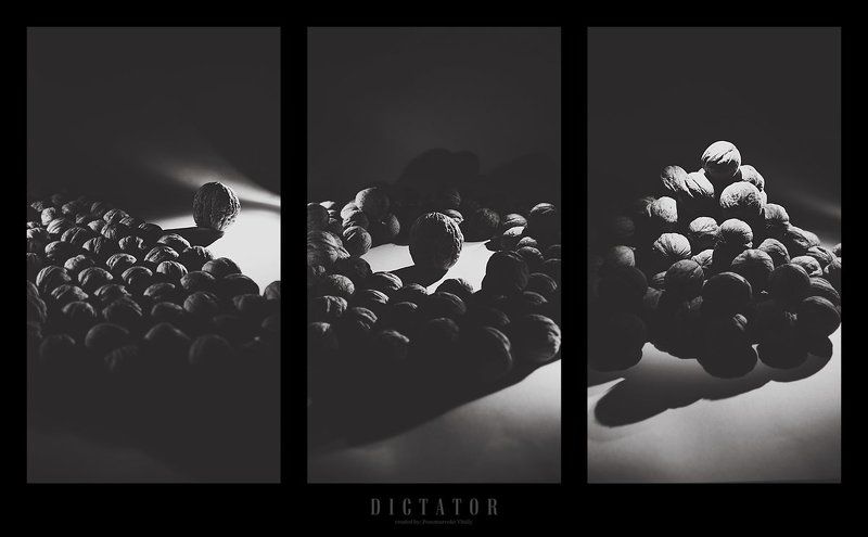 Dictatorphoto preview