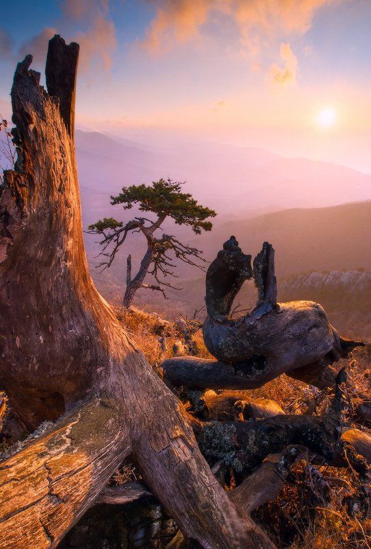 Возрождение фото превью