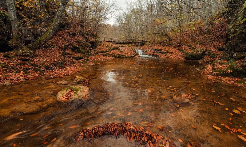ПРОГУЛКА ПО РУЧЬЮphoto preview