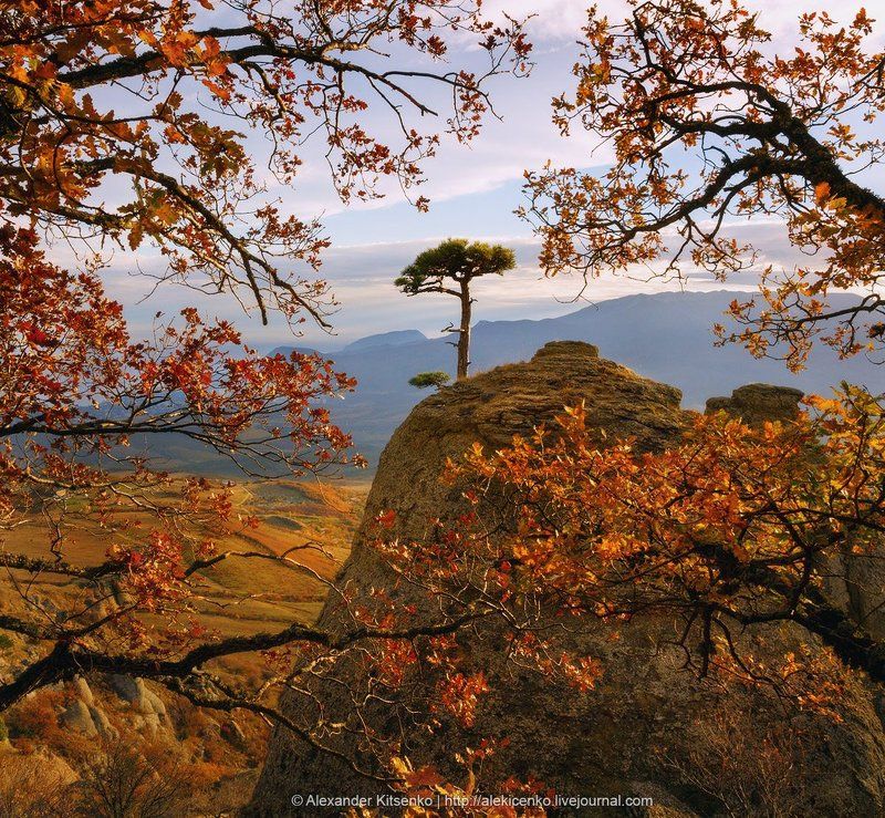 Золотое Одиночествоphoto preview