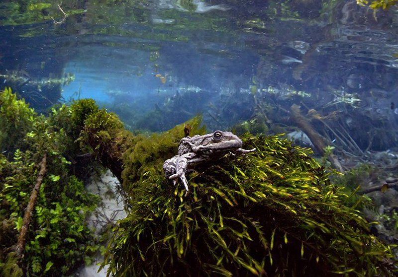 Любопытнаяphoto preview