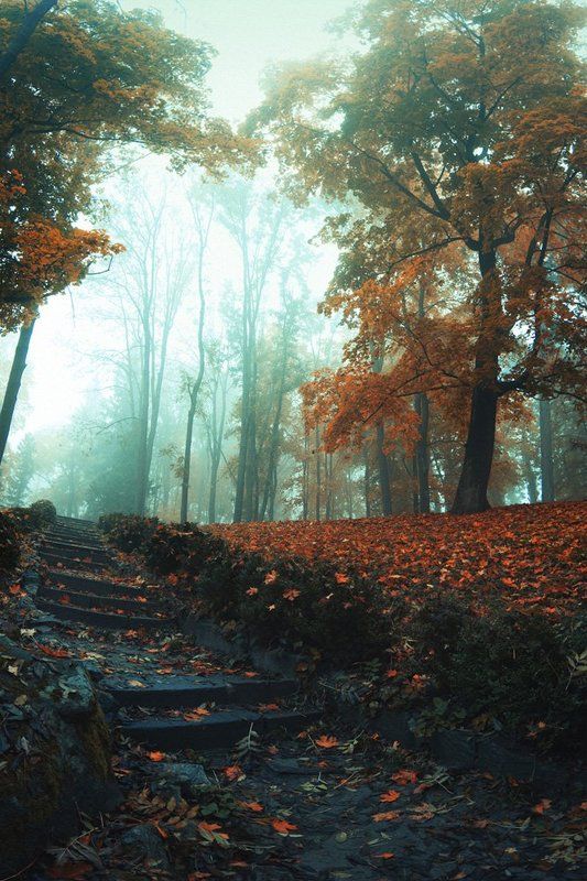 Туман и холодphoto preview