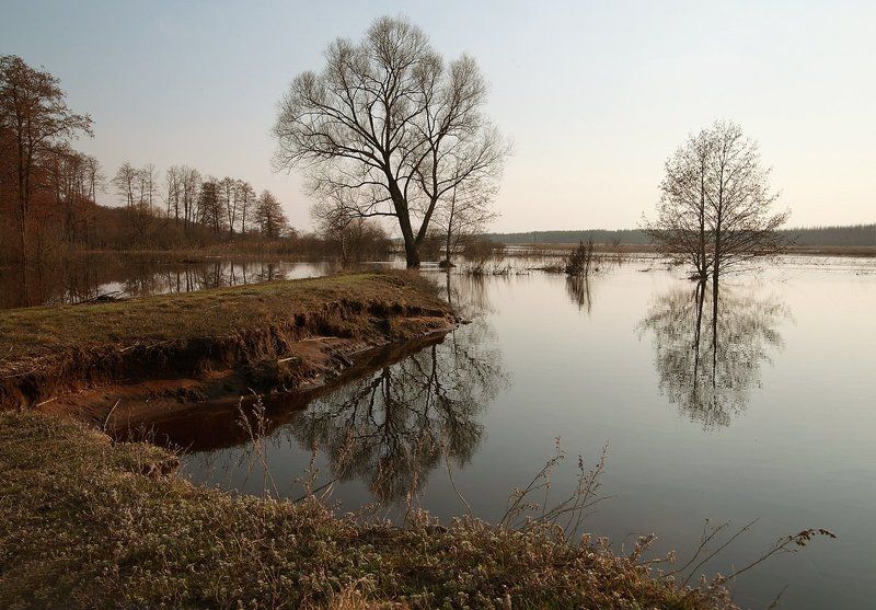 Весна, Воронежская область, Разлив, Река Усманка Усманка в разливеphoto preview