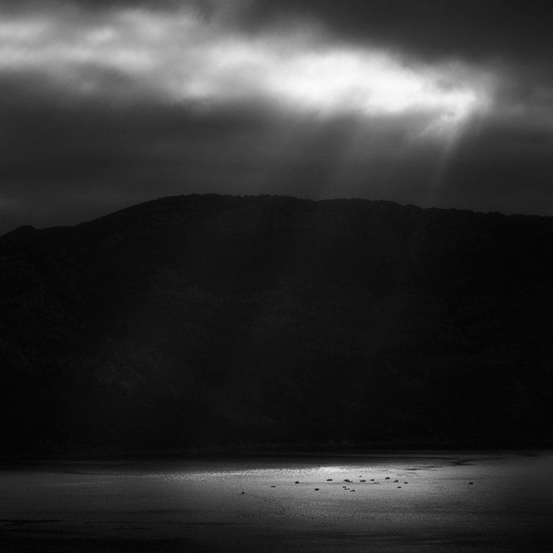 Z или как рыбаки за рыбой в море ходилиphoto preview