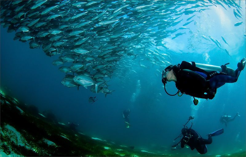 Рыбный день фото превью