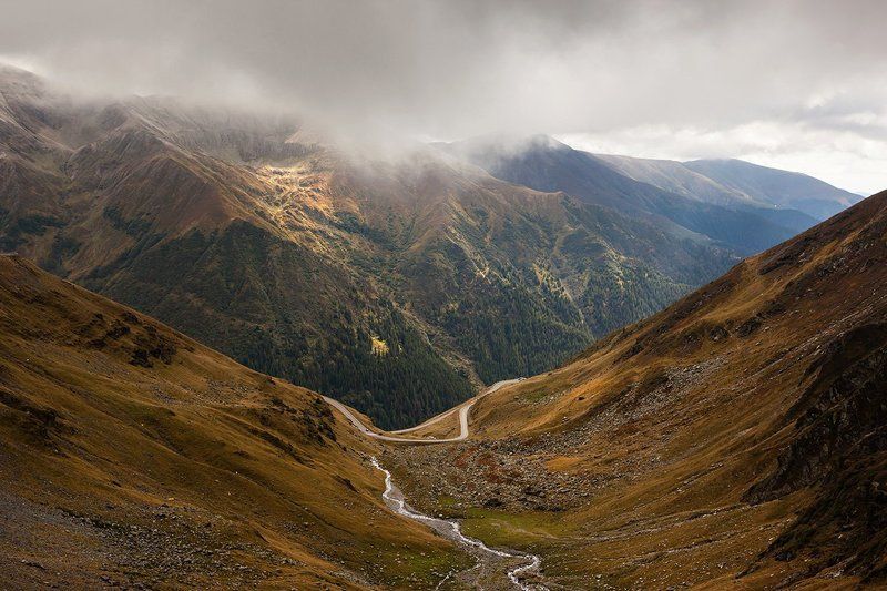 Трансфэгэрэшан (2)photo preview