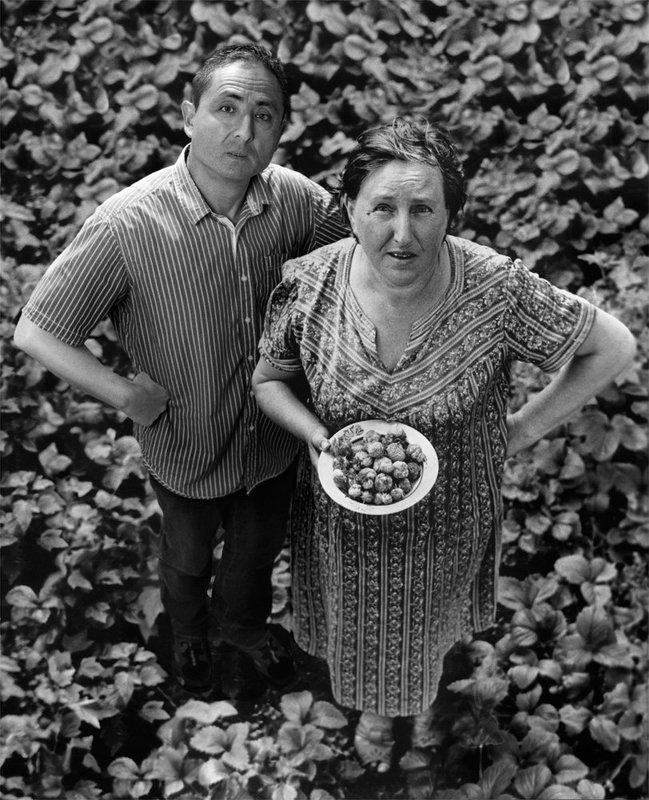 Alexey elkin, Flights in time, Алексей элькин, Время, Полёт Полёты во времени фото превью