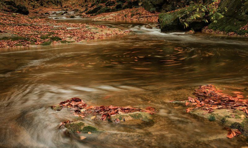 ПРОГУЛКА ПО РУЧЬЮ -2photo preview